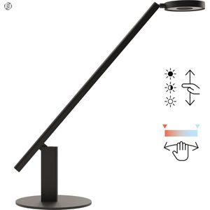 Equivera - Daglichtlamp Hobby - Lichttherapielamp - Bureaulamp - Staand