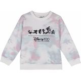 Disney - Sweatshirt - Blauw en Wit - Karakterprint - Katoen - 240 g/m²