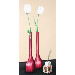 Vaas met Tulp, gespannen canvaslijst 20x40cm