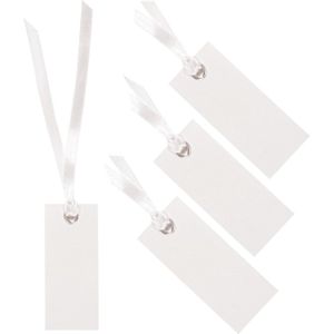 Santex cadeaulabels met lintje - set 48x stuks - wit - 3 x 7 cm - naam tags