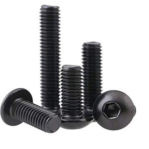 Schroeven 5 stuks roestvrij staal bolkop zeskantige inkeping - M6 x 12 mm. .