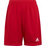 adidas Entrada 22 Sportbroek Unisex - Maat 116