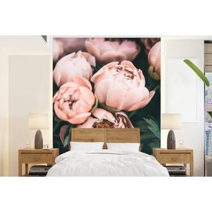 Bloemen - Roze - Natuur - Planten - Behangpapier