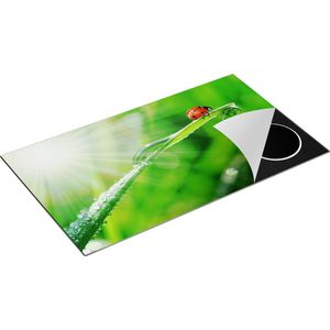 Chefcare Inductie Beschermer Lieveheersbeestje op een Grasspriet - 90x52 cm - Afdekplaat Inductie - Kookplaat Beschermer - Inductie Mat