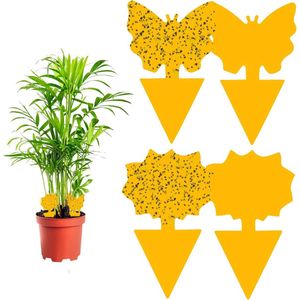 Plant Vliegenvangers, 60 Stuks Kleverige Vliegenvallen, Gele Borden Val, Sticky Board Dubbelzijdig voor Vliegende Insecten,Fruitvliegjes,Muggen op Balkon of Tuin (2 Vormen)
