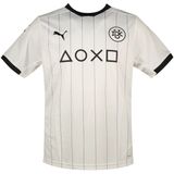 Puma Dux Home T-shirt Met Korte Mouwen