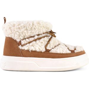 Colors of California - Bruin - Suede Sneaker - Maat 41
