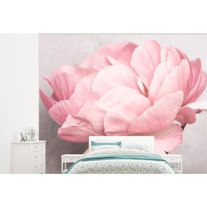 Bloemen - Roze - Natuur - Plant - Behangpapier