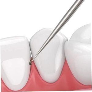 5 Stuks Roestvrij Stalen Tandenstokers - Herbruikbare Metalen Tandenpikkers voor Tandheelkundige Zorg