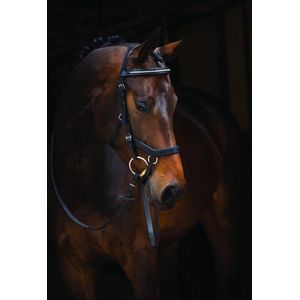 Horseware Rambo Micklem Diamante Competition Bridle Zwart Pony