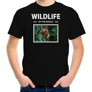 Dieren foto t-shirt Orang oetan aap - zwart - kinderen - wildlife of the world - cadeau shirt Orang oetans liefhebber - kinderkleding / kleding 146/152