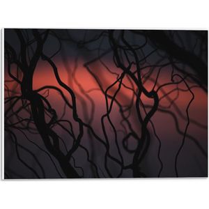 PVC Schuimplaat - Boom - Takken - Donker - Natuur - Rood - 40x30 cm Foto op PVC Schuimplaat (Met Ophangsysteem)