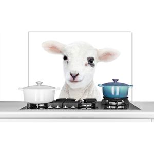 Spatscherm keuken 80x55 cm - Kookplaat achterwand Lam - Wit - Dieren - Natuur - Muurbeschermer - Spatwand fornuis - Hoogwaardig aluminium