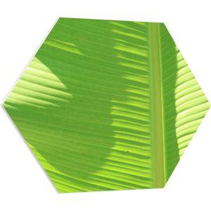 PVC Schuimplaat Hexagon - Nerven op Groen Bananenblad - 80x69.6 cm Foto op Hexagon (Met Ophangsysteem)