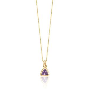 Ketting Dames Geboortesteen Amethist Februari (Goud) | cadeau dames