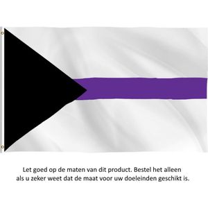 Demiseksueel Vlag 150x90CM - LGBT - Regenboog Vlag - Demiseksualiteit - Demisexual - Demisexuality - Gray-A - Grijs-aseksueel - LGBTQ - Flag Polyester