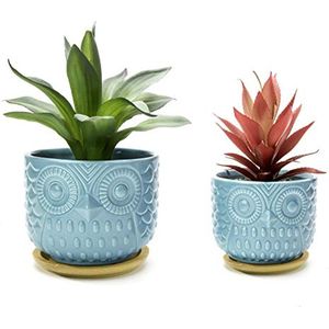 Turquoise Dieren Succulent Planter Set van 2 met Drainage en Bamboe Schotel