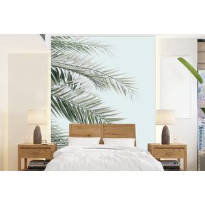 Plant - Groen - Natuur - Blauw - Behangpapier