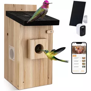 dobar® Eazy nestkast met wifi-camera en zonnepaneel, vogelobservatie met nesthulp van hout en app, 30 mm invliegat, groen