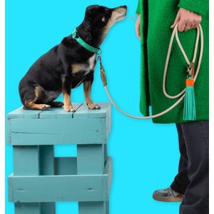 DWAM Dog with a Mission Hondenriem – Riem voor honden – Beige – Polyester/Leer – S – 155 x 1 cm – Sand