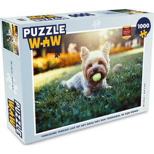 Puzzel Yorkshire Terrier ligt op het gras met een tennisbal in zijn mond - Legpuzzel - Puzzel 1000 stukjes volwassenen