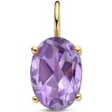 14K Geelgoud - Hanger - Amethist - 11.5x5.0mm