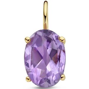 14K Geelgoud - Hanger - Amethist - 11.5x5.0mm