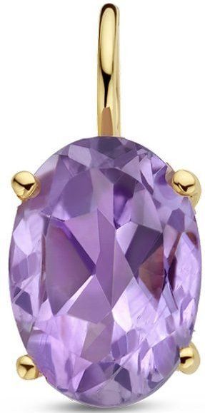 14K Geelgoud - Hanger - Amethist - 11.5x5.0mm