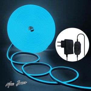 Mrs. Jones 10M neon blauw LED strip - DIY tailoring - IP65 waterdicht - voor patio keuken slaapkamer - 10 meter met 24V voeding - niet dimbaar .