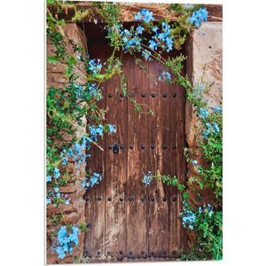 PVC Schuimplaat- Blauwe Bloemetjes Groeiend bij Houten Deur - 50x75 cm Foto op PVC Schuimplaat