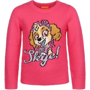 Paw Patrol Skye - Roze sweater voor meisjes, lekker warm / 128