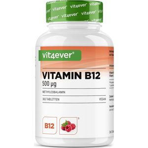 Vitamine B12-Complex - 365 zuigtabletten - Premium: Beide actieve vormen + depotvorm + folaat (5-MTHF uit Quatrefolic®) - Veganistisch - Hooggedoseerden met frambozensmaak - Premium: Actieve Methylcobalamine - Hoge Dosis | Vit4ever