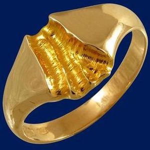 Rivier van goud, Gouden ring 21.5mm