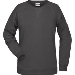 James and Nicholson Dames/dames Raglan Sweatshirt met lange mouwen (Grafiet)
