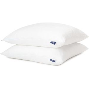 Microvezel kussenset 80 x 80 cm - wasbaar en zacht - Seersucker stof - verstelbaar met extra vulling
