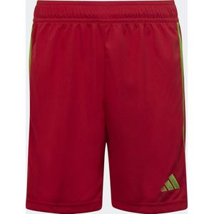 adidas - Tiro 23 League Short - Rood - Korte Broeken - Kinderen