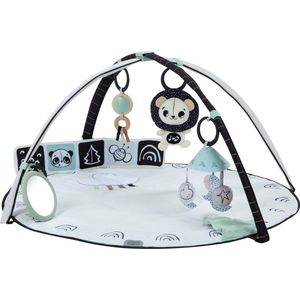 Tiny Love gymini black and white decor