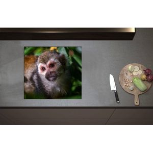 Inductieplaat Beschermer - Aankijkende Eekhoorn Aap tussen de Groene Begroeiing - 57x52 cm - 2 mm Dik - Inductie Beschermer - Bescherming Inductiekookplaat - Kookplaat Beschermer van Zwart Vinyl