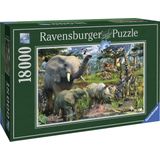 Ravensburger puzzel Wildlife - Legpuzzel - 18000 stukjes
