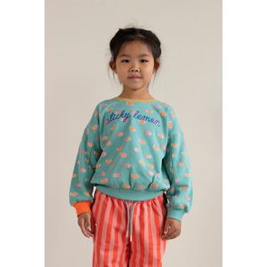 Sticky Lemon - sweater - fish all over - diving suit