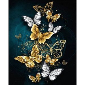 Lienz® Diamond Painting volwassenen 40x50cm – Rond - Vlinders - Volledig - Pakket Volwassenen