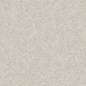 Fabric Touch velvet grey - FT221232