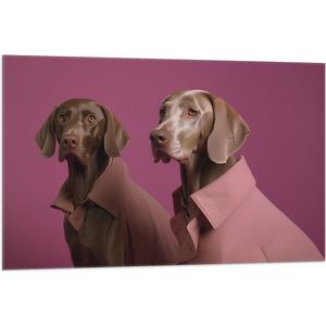 Vlag - Twee Bruine Duitse Dog Honden in Roze Overhemden tegen Roze Achtergrond - 105x70 cm Foto op Polyester Vlag