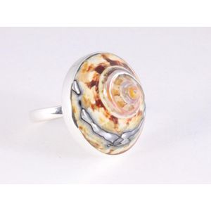 Ronde zilveren ring met Afrikaanse abalone schelp - maat 18