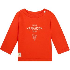 Noppies - Okawa - T-shirt - Lange Mouwen - Baby