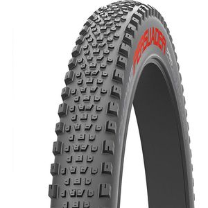 Chaoyang Persuader Speed 120 Tpi Tubeless Dubbel Verdediging 29´´ X 2.40 Mtb Band Zilver 29´´ x 2.40