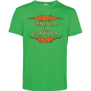 T-shirt Veni Vidi Via Gladiola | Vierdaagse shirt | Wandelvierdaagse Nijmegen | Roze woensdag | Groen | maat XXL