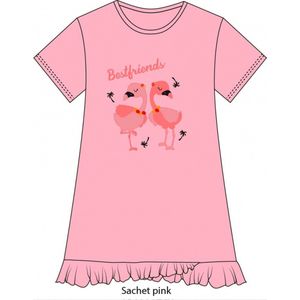 Fun2Wear - Beste Vrienden Bigshirt | Sachet Roze - Katoen - Maat Zakje Roze