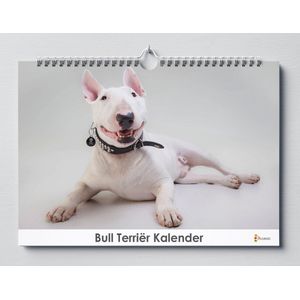 Bull Terriër Verjaardagskalender - 35x24cm - wandkalender Bull Terriër