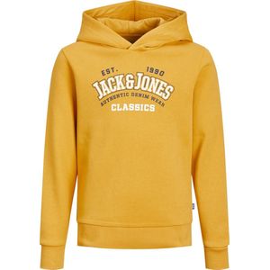 JACK&JONES JUNIOR JJELOGO SWEAT HOOD 2 COL 22/23 NOOS JNR Jongens Trui - Maat 176